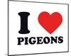 I Heart Pigeons-null-Mounted Giclee Print