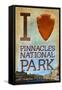 I Heart Pinnacles National Park-Lantern Press-Framed Stretched Canvas