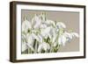 I Hoped You Would Come Back-Sarah Caswell-Framed Giclee Print