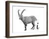 I is for Ibex-Stacy Hsu-Framed Art Print