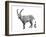 I is for Ibex-Stacy Hsu-Framed Art Print