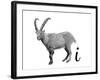 I is for Ibex-Stacy Hsu-Framed Art Print