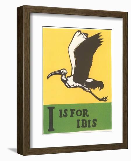 I is for Ibis-null-Framed Art Print