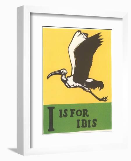 I is for Ibis-null-Framed Art Print