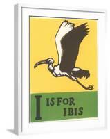 I is for Ibis-null-Framed Art Print