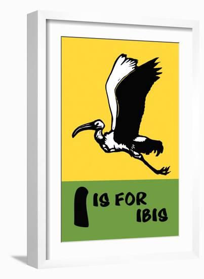 I is for Ibis-Charles Buckles Falls-Framed Art Print