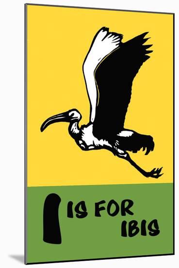 I is for Ibis-Charles Buckles Falls-Mounted Art Print