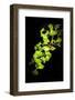 I Juste Wanna Be the On-Philippe Sainte-Laudy-Framed Photographic Print