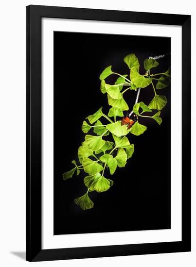 I Juste Wanna Be the On-Philippe Sainte-Laudy-Framed Photographic Print