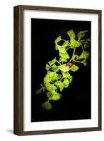 I Juste Wanna Be the On-Philippe Sainte-Laudy-Framed Photographic Print