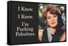 I Know I'm Fucking Fabulous Funny Poster-Ephemera-Framed Stretched Canvas