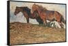 I Kvafvande blast, Motiv fran Oland , 1908-Nils Kreuger-Framed Stretched Canvas