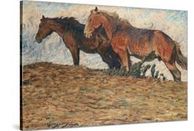 I Kvafvande blast, Motiv fran Oland , 1908-Nils Kreuger-Stretched Canvas