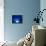 I Love Blue-Philippe Sainte-Laudy-Stretched Canvas displayed on a wall