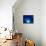 I Love Blue-Philippe Sainte-Laudy-Stretched Canvas displayed on a wall