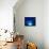I Love Blue-Philippe Sainte-Laudy-Photographic Print displayed on a wall