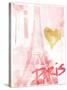 I Love Paris Blush-OnRei-Stretched Canvas