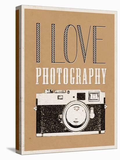 I Love Photography Poster-null-Stretched Canvas