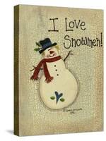 I Love Snowmen-Debbie McMaster-Stretched Canvas