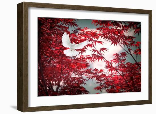 I Love Tomorrow-Philippe Sainte-Laudy-Framed Photographic Print