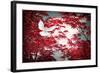 I Love Tomorrow-Philippe Sainte-Laudy-Framed Photographic Print