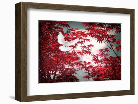 I Love Tomorrow-Philippe Sainte-Laudy-Framed Photographic Print