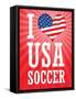 I Love USA Soccer (World Cup, Red) Sports Poster Print-null-Framed Stretched Canvas