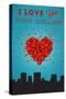 I Love You Fort Collins, Colorado-Lantern Press-Stretched Canvas