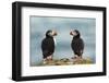 I Love You - I Love You Too-Milan Zygmunt-Framed Photographic Print