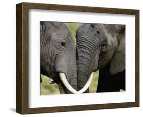 I Love You-Art Wolfe-Framed Photographic Print