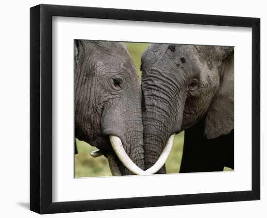 I Love You-Art Wolfe-Framed Photographic Print
