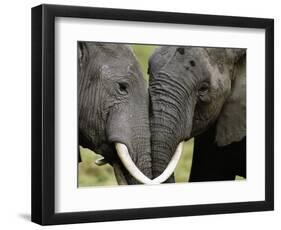 I Love You-Art Wolfe-Framed Photographic Print