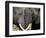 I Love You-Art Wolfe-Framed Photographic Print