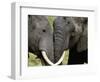 I Love You-Art Wolfe-Framed Photographic Print