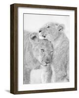 I Love You-Jun Zuo-Framed Photographic Print