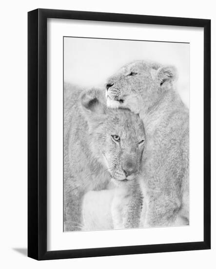 I Love You-Jun Zuo-Framed Photographic Print