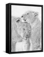I Love You-Jun Zuo-Framed Stretched Canvas