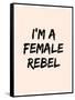 I'm A Female Rebel-null-Framed Stretched Canvas