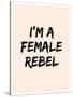 I'm A Female Rebel-null-Stretched Canvas