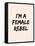I'm A Female Rebel-null-Framed Stretched Canvas