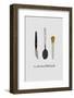 I'm All about the Baste-Orara Studio-Framed Photographic Print