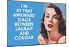 I'm at that Awkward Stage between Jailbait and Cougar Funny Art Poster Print-null-Mounted Poster