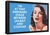 I'm at that Awkward Stage between Jailbait and Cougar Funny Art Poster Print-null-Framed Poster