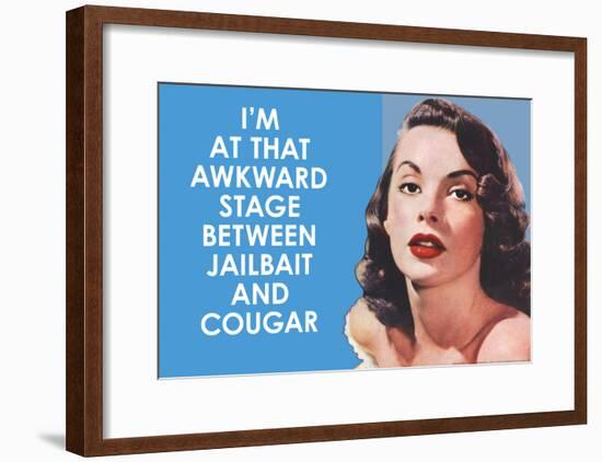 I'm at that Awkward Stage between Jailbait and Cougar Funny Art Poster Print-null-Framed Poster