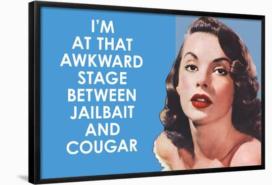 I'm at that Awkward Stage between Jailbait and Cougar Funny Art Poster Print-Ephemera-Framed Poster