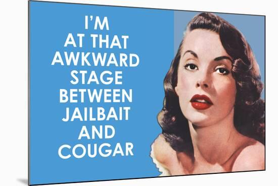 I'm at that Awkward Stage between Jailbait and Cougar Funny Art Poster Print-Ephemera-Mounted Poster