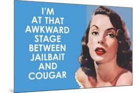 I'm at that Awkward Stage between Jailbait and Cougar Funny Art Poster Print-Ephemera-Mounted Poster