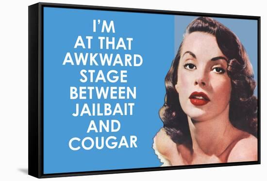 I'm at that Awkward Stage between Jailbait and Cougar Funny Art Poster Print-Ephemera-Framed Stretched Canvas