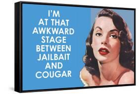 I'm at that Awkward Stage between Jailbait and Cougar Funny Art Poster Print-Ephemera-Framed Stretched Canvas