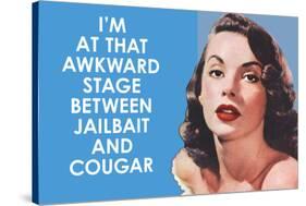 I'm at that Awkward Stage between Jailbait and Cougar Funny Art Poster Print-Ephemera-Stretched Canvas
